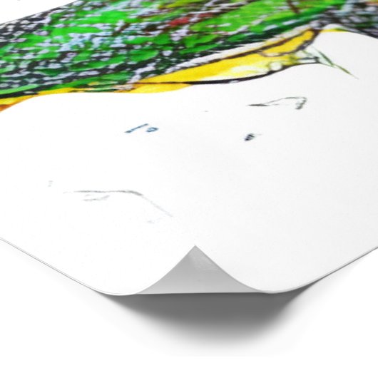 Gerbera's Madeliefje Poster (Hoek)