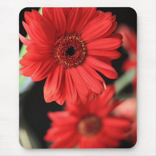Gerberas Muismat (Voorkant)