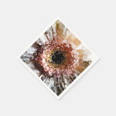 GERBERAS SERVET (Hoek)