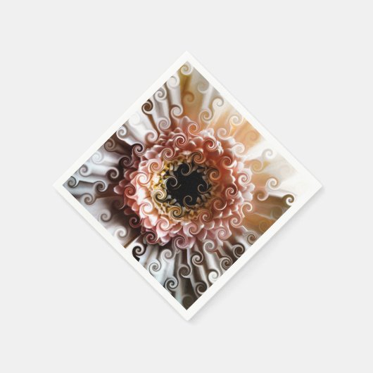 GERBERAS SERVET (Hoek)