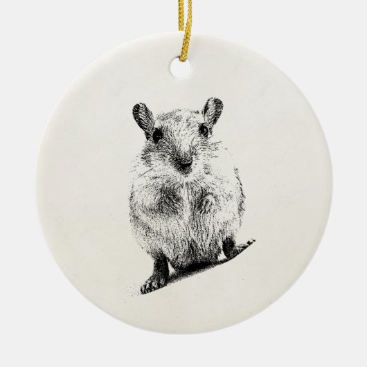 Gerbil Animal Baby Illustration Pet Gerbils Keramisch Ornament (Voorkant)