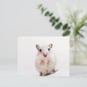 Gerbil Baby Animal Cute Pet Gerbils Sjabloon Briefkaart (Staand voorkant)
