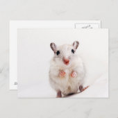 Gerbil Baby Animal Cute Pet Gerbils Sjabloon Briefkaart (Voorkant / Achterkant)