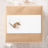 Gerbil Cute Baby Animal Pet Gerbils Sjabloon Etiket (Insitu)