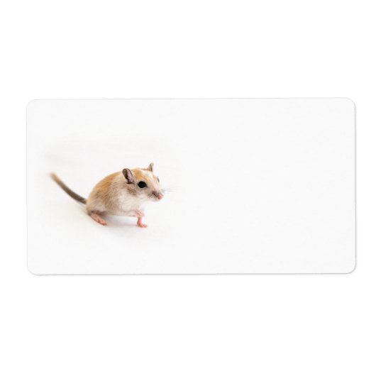 Gerbil Cute Baby Animal Pet Gerbils Sjabloon Etiket (Voorkant)