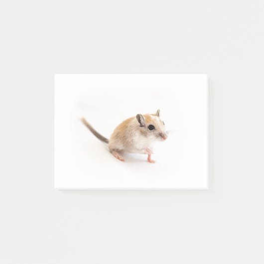 Gerbil Cute Baby Animal Pet Gerbils Sjabloon Post-it® Notes (Voorkant)