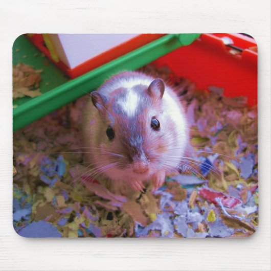 Gerbil pad muismat (Voorkant)