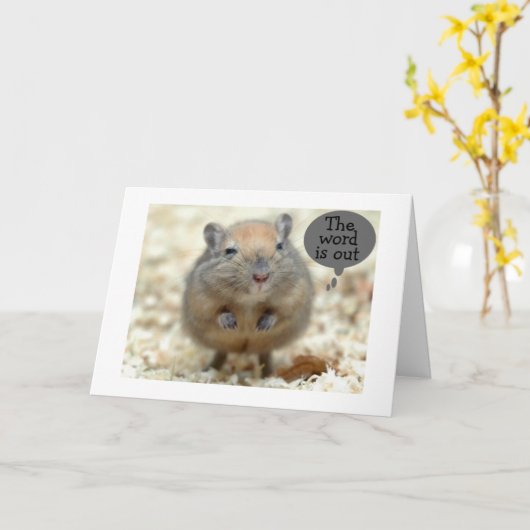 GERBIL ZEGT "HET WOORD IS UIT" GROEP VERJAARDAG KAART (Gele Bloem)