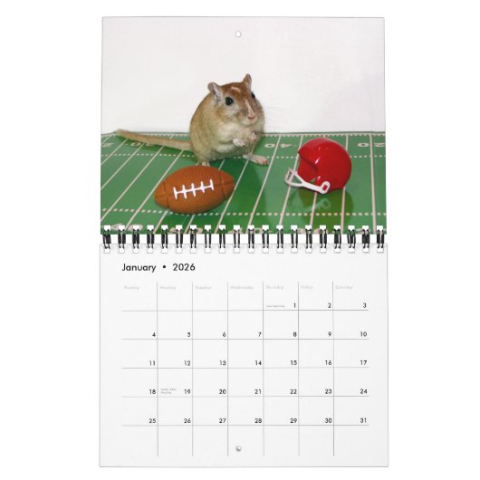 Gerbils Calendar (Reprint) Kalender (Jan 2026)