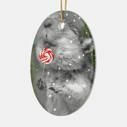 Gerbil's kerstdroom keramisch ornament (Links)
