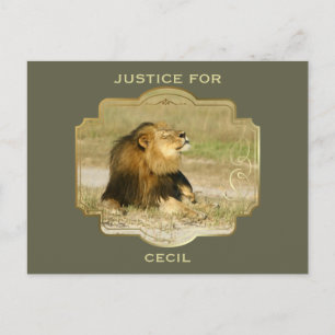 Gerechtigheid voor Cecil de leeuw gedood in Afrika Briefkaart