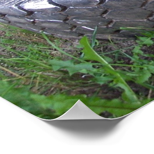 Gerecycleerd Poster (Hoek)