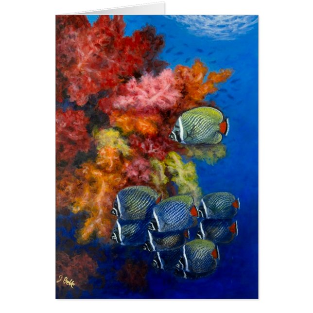 Gerecycleerde BBF met zachte koralen (Voorkant)