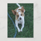 gered briefkaart (Voorkant)