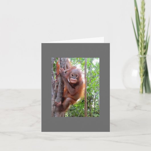 Geredde Baby Orangutan Uttuh Kaart (Voorkant)
