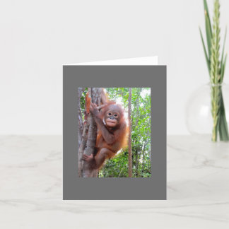 Geredde Baby Orangutan Uttuh Kaart