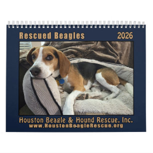 Geredde Beagles 2026 Muurkalender Kalender
