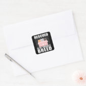 Geredde katten dierentuin Favoriete Ras Vierkante Sticker (Envelop)