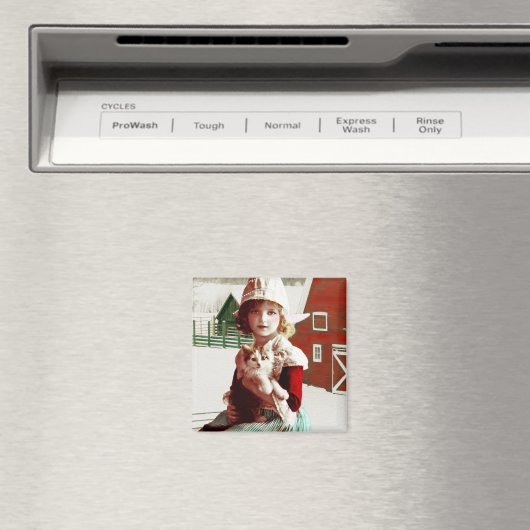  geredde schuur Kat magneet (Insitu (Vaatwasser))