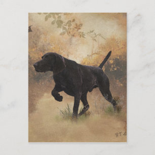 Gereedschapdoos Duitse Staande Hond om te jagen Briefkaart