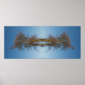 Gereflecteerde bomen poster (Voorkant)