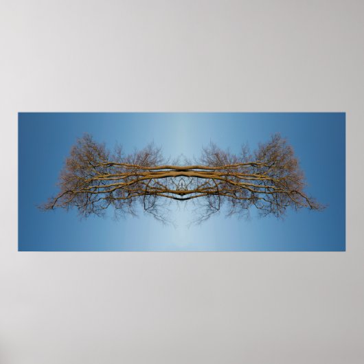 Gereflecteerde bomen poster (Voorkant)