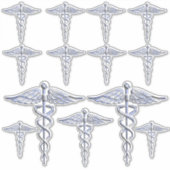 Geregistreerd zuster RN Silver Caduceus Sticker (Voorkant)