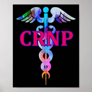 Geregistreerde Nurse Practitioner (gecertificeerd) Poster