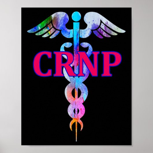 Geregistreerde Nurse Practitioner (gecertificeerd) Poster (Voorkant)