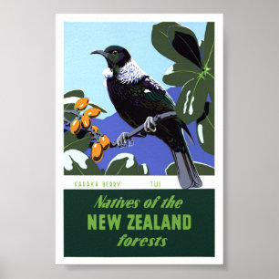 Gerenoveerde vintage reisposter uit Nieuw-Zeeland Poster