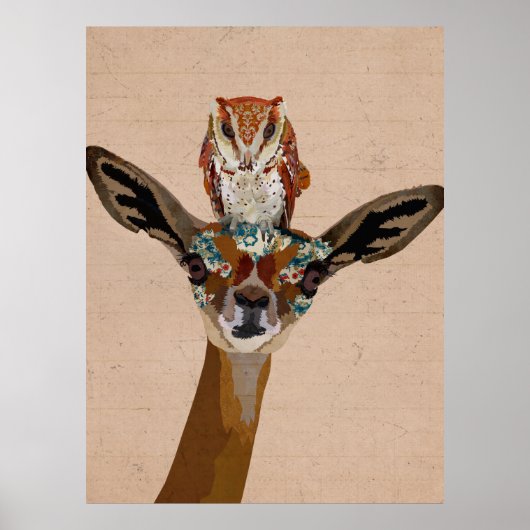 GERENUK EN OWL POSTER (Voorkant)