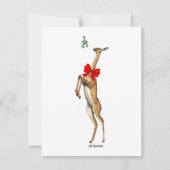 Gerenuk - kerstkaart (Voorkant)