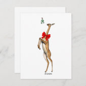 Gerenuk - kerstkaart (Voorkant / Achterkant)