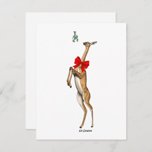 Gerenuk - kerstkaart (Voorkant / Achterkant)