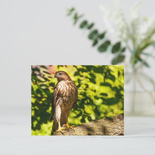 Gericht Briefkaart (Staand voorkant)