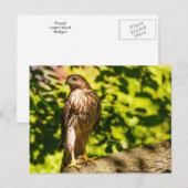 Gericht Briefkaart (Voorkant / Achterkant)