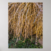 Gerichte 6 afdrukken, Poster papier (halfglanzend) (Voorkant)