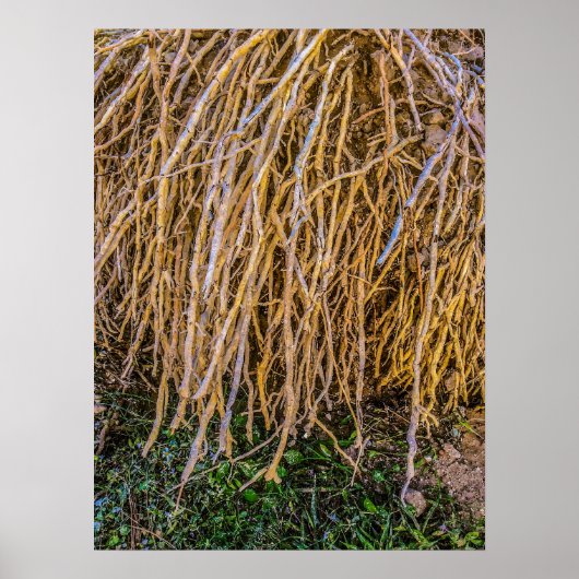 Gerichte 6 afdrukken, Poster papier (halfglanzend) (Voorkant)