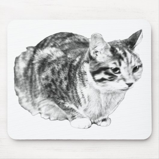 Gerichte tabby, fluwelen bureautonen muismat (Voorkant)