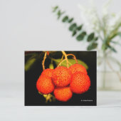 gerijpt Unedo Arbutus aardbeiboomvruchten Briefkaart (Staand voorkant)