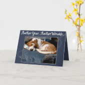 Gerimpeld Basset Hound op de Leuke Kaart van de (Gele Bloem)