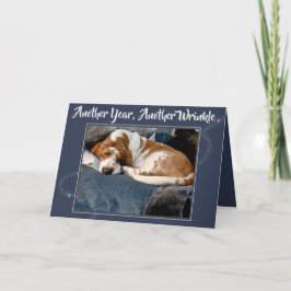 Gerimpeld Basset Hound op de Leuke Kaart van de