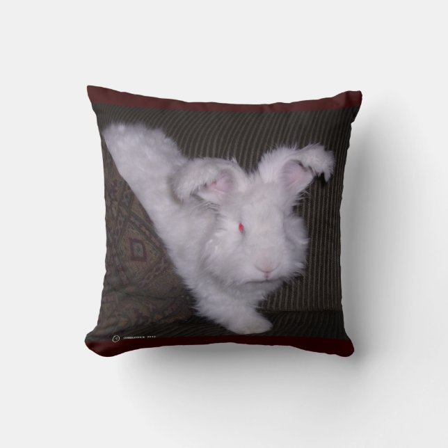 GERMAN ANGORA BUNNIE PILLOW KUSSEN (Voorkant)