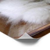 GERMAN ANGORA RABBIT ADD POSTER (Hoek)