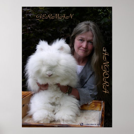 GERMAN ANGORA RABBIT ADD POSTER (Voorkant)