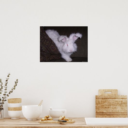 GERMAN ANGORA RABBIT POSTER (Keuken)