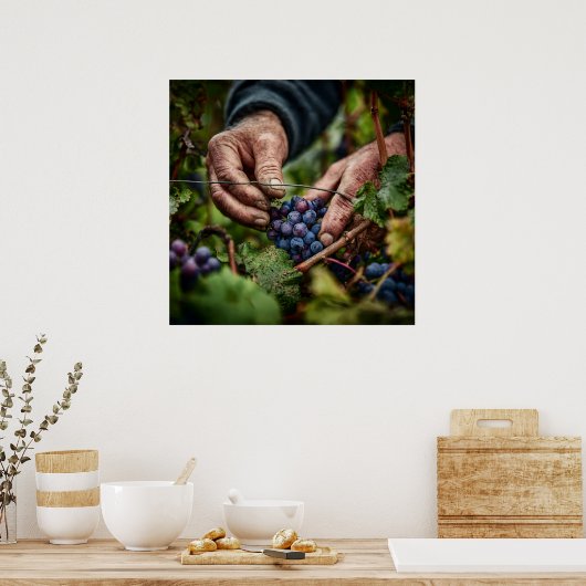 German Harvest - Close-up van de handen van de dru Poster (Keuken)