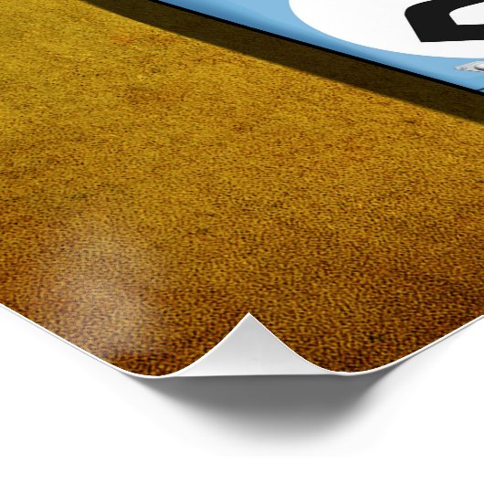 German Racing 917 G No.2 Perfect Poster (Hoek)