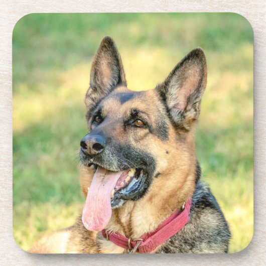 German Shepard Drankjes Onderzetter (Voorkant)