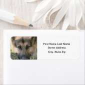 German Shepard Etiket (Insitu)